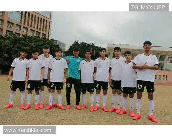 乡村爱情与足球激情碰撞展现乡村青年的梦想与奋斗之路