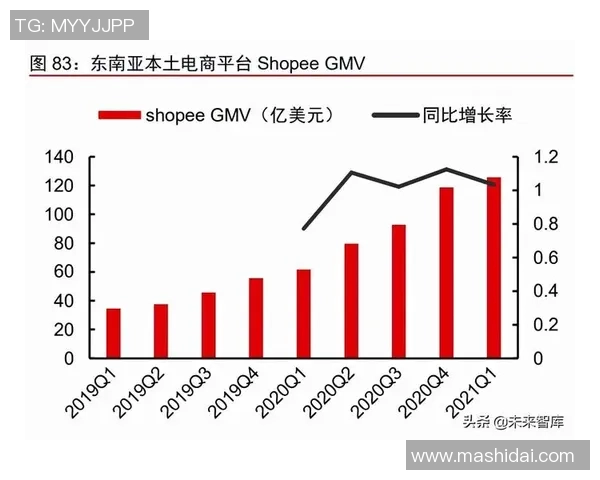 南京排球队实力分析与未来发展潜力的深度探讨
