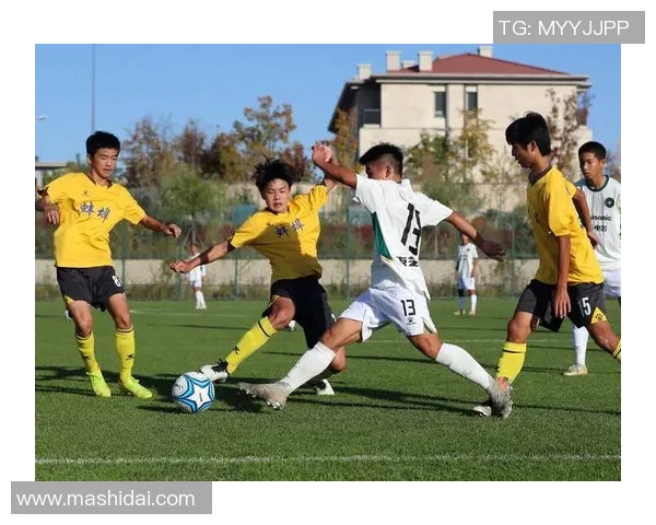 疯狂的足球2013带你领略足球的激情与梦想，感受每一次进球的震撼与欢呼