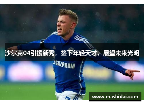 沙尔克04引援新秀，签下年轻天才，展望未来光明