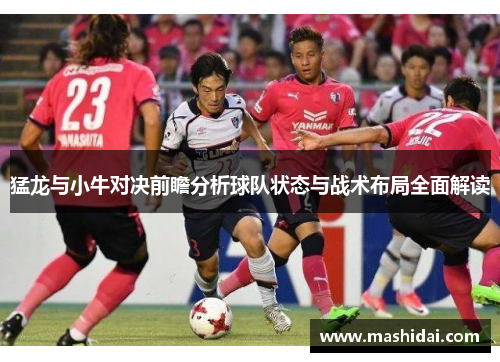 猛龙与小牛对决前瞻分析球队状态与战术布局全面解读